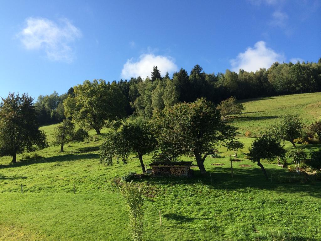 Le Floralp Lejlighedshotel Combloux Eksteriør billede