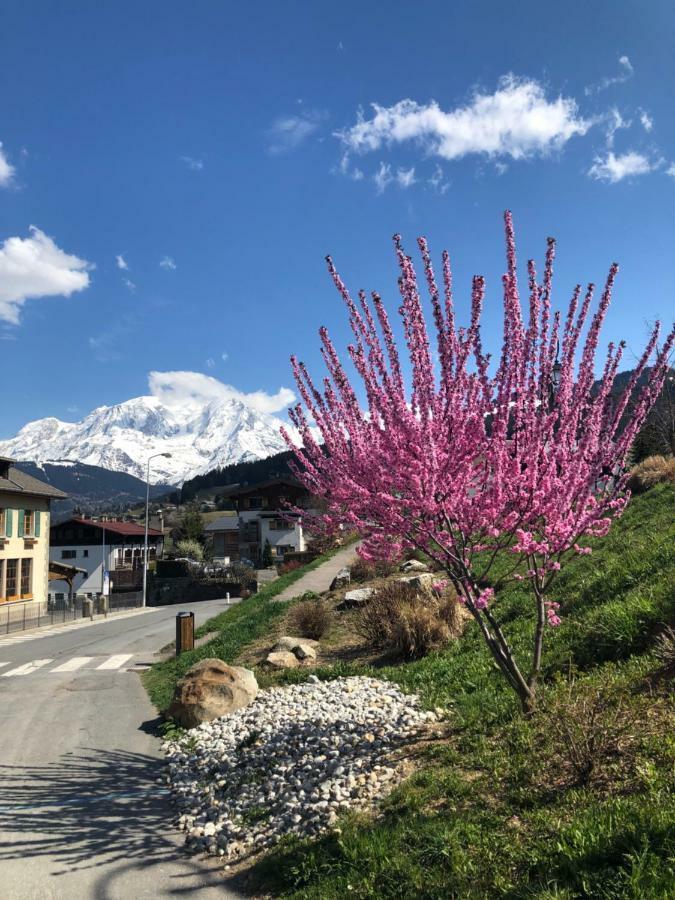Le Floralp Lejlighedshotel Combloux Eksteriør billede